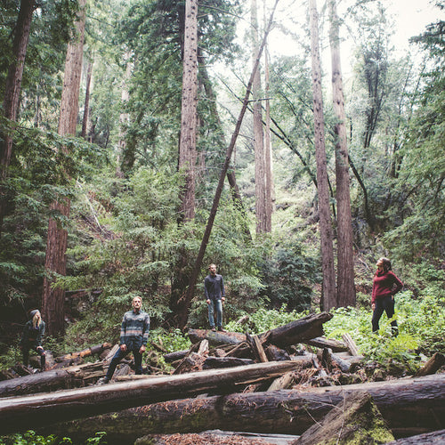 Katin Fall/Holiday '16 Lookbook Video - Blog post image