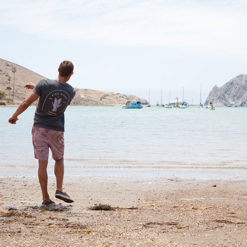 MORE Shorts Have Landed In The Web Store - Blog post image
