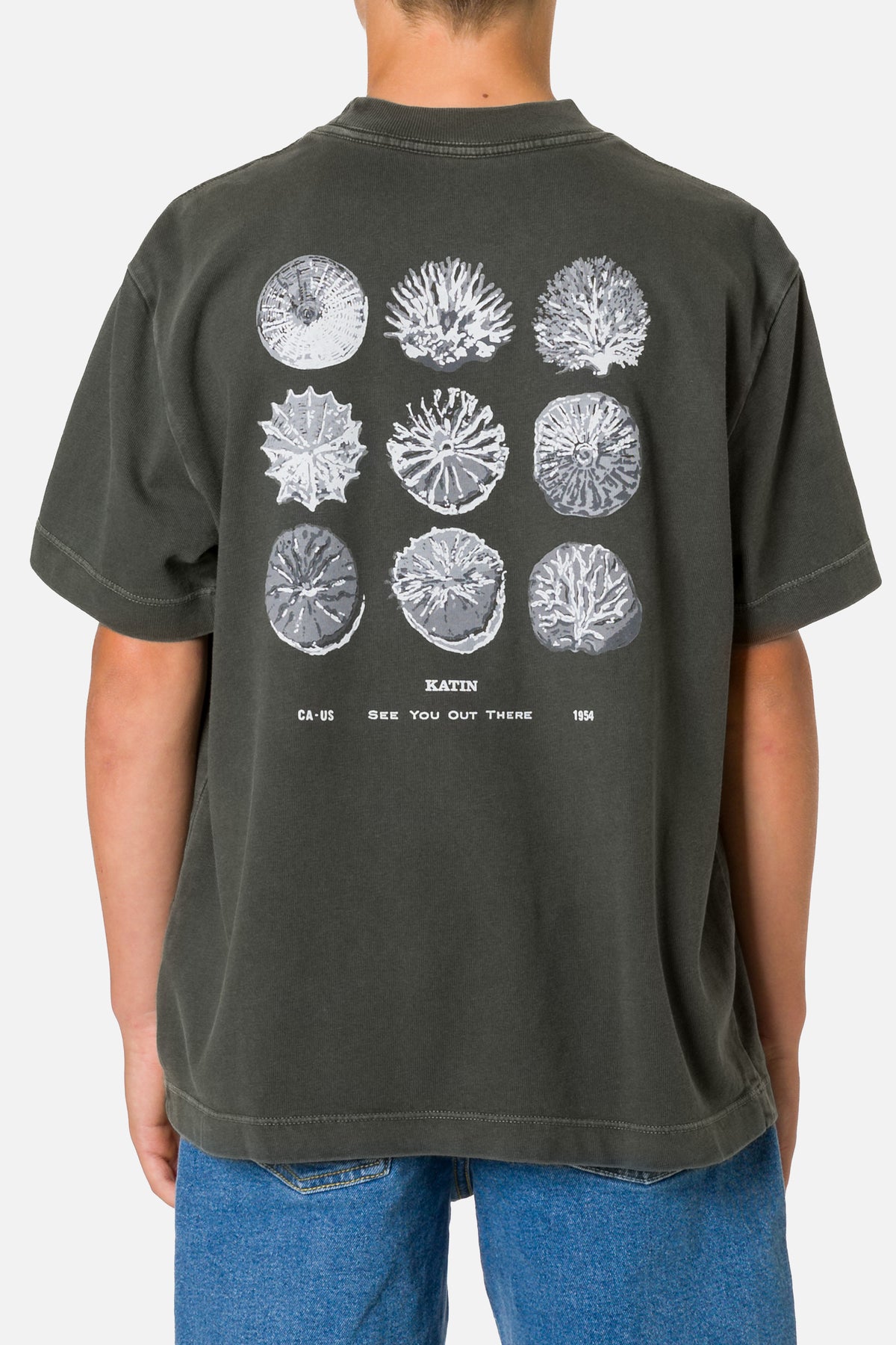 BOYS SPECIMEN BOX FIT TEE