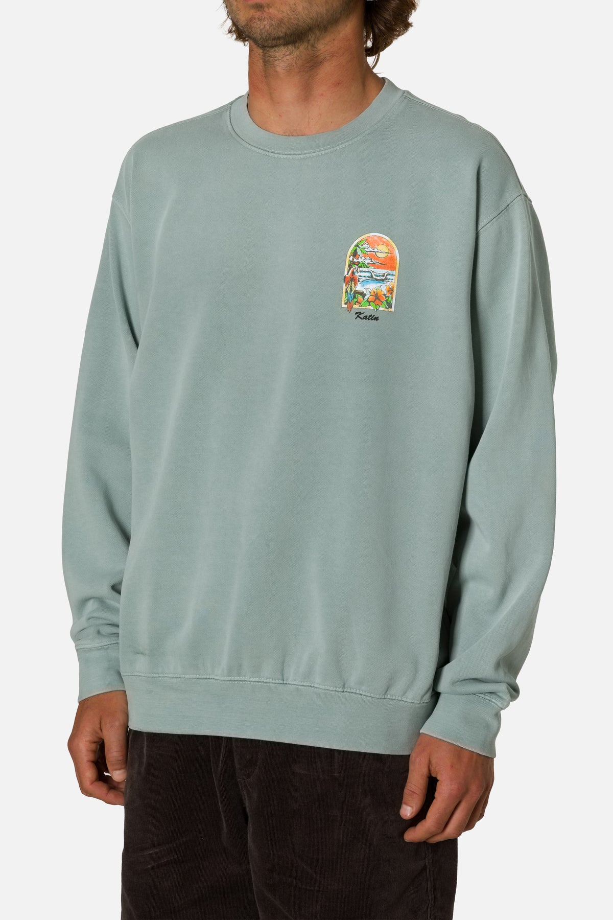 Person wearing a light blue sweatshirt with a colorful graphic on the chest against a white background