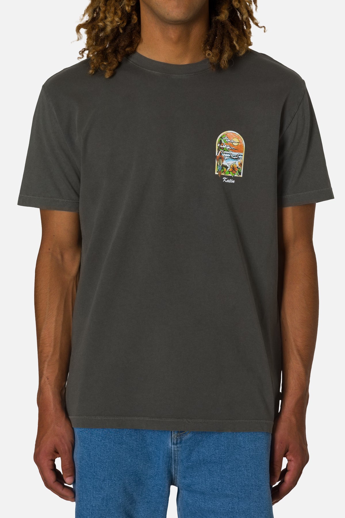 Person wearing a dark gray t-shirt with a colorful graphic on the chest against a plain background