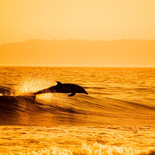 Katin Celebrates #WorldOceansDay - Blog post image
