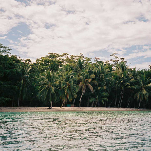 Katin's Ultimate Guide to Bocas Del Toro - Blog post image