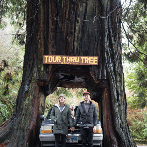 #TravelTuesday: Katin Explorer @AmericaYall Ventures Through The Redwoods - Blog post image