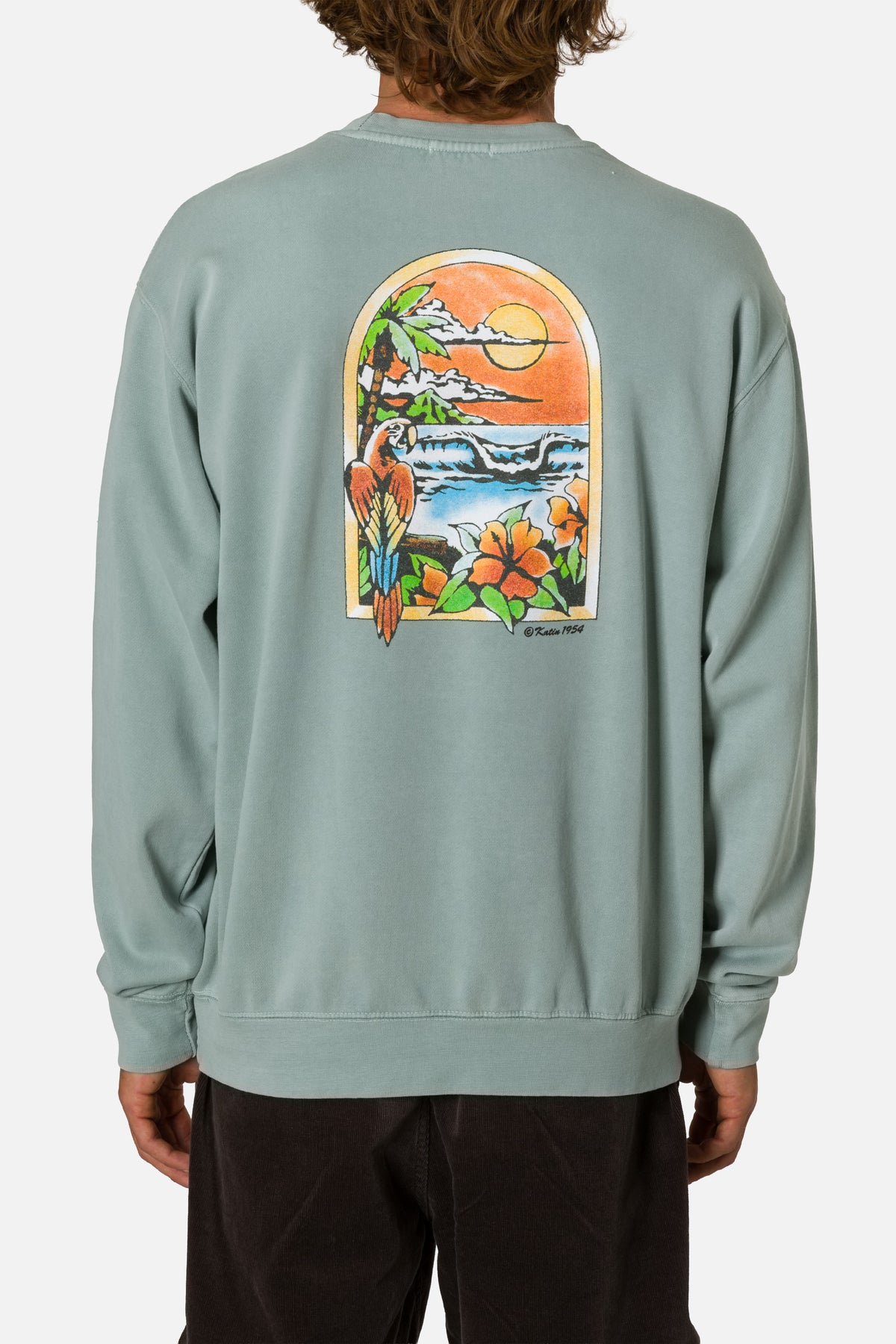 Person wearing a light blue sweatshirt with a colorful graphic on the back against a white background