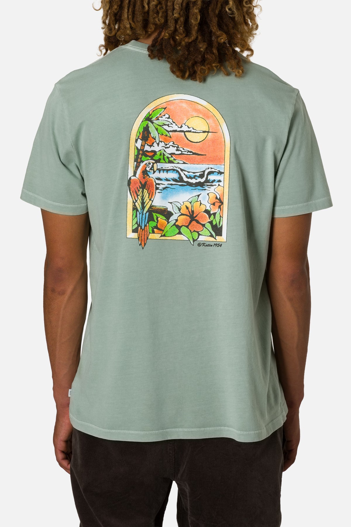 Person wearing a light green t-shirt with a colorful graphic on the back, standing against a white background.