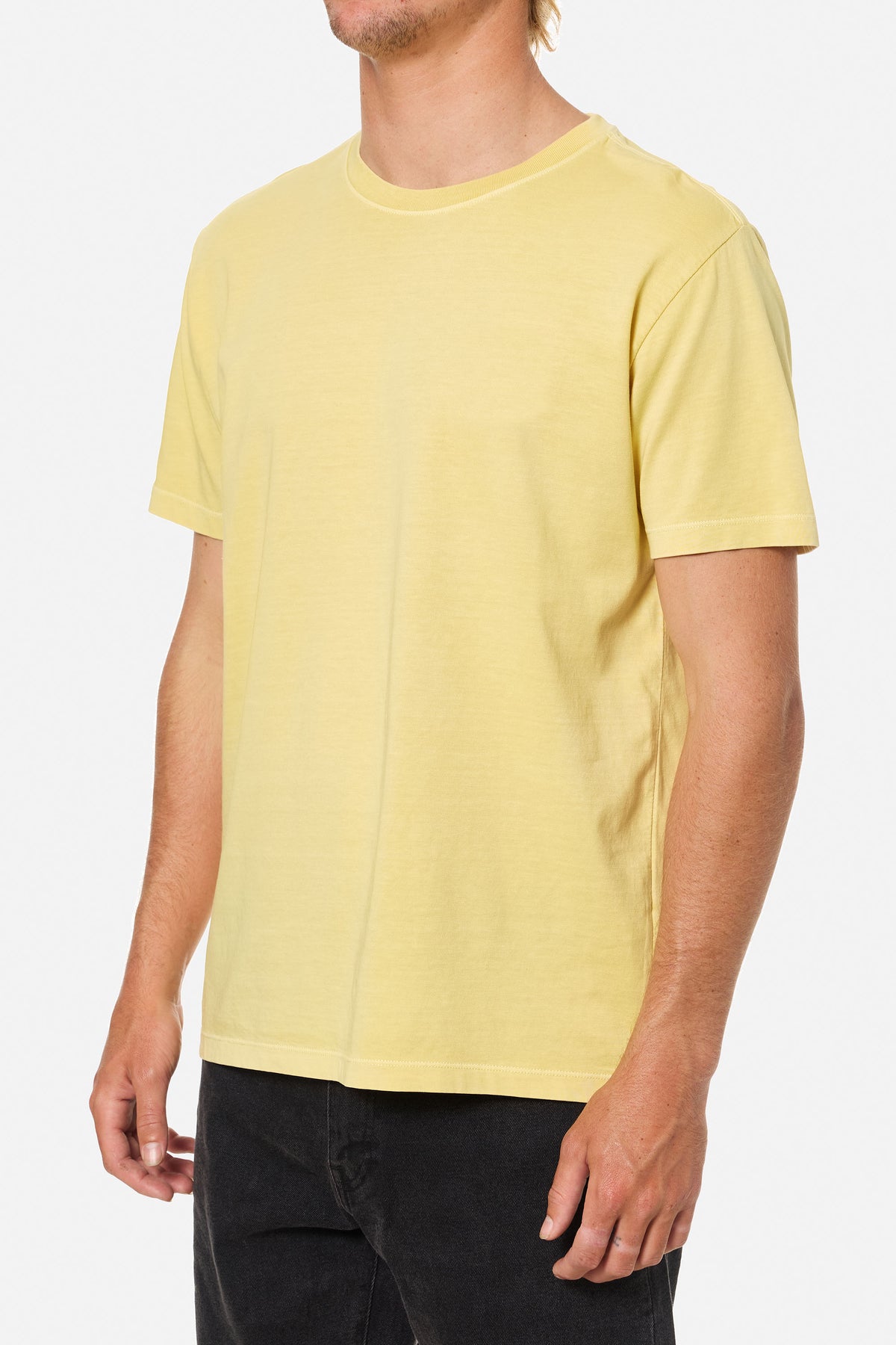 STANDARD TEE